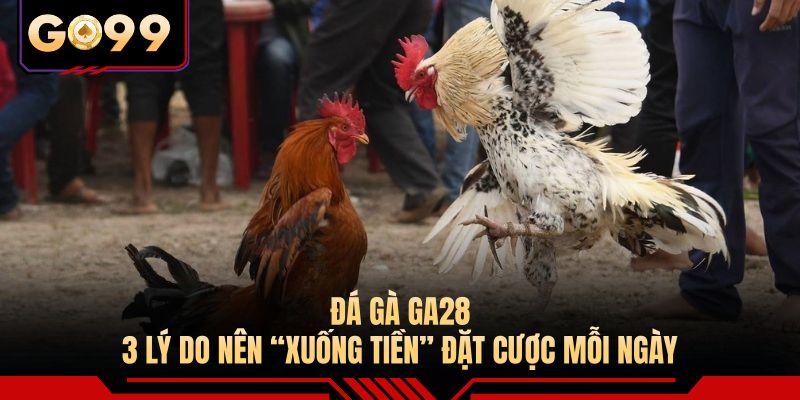 Đá Gà GA28