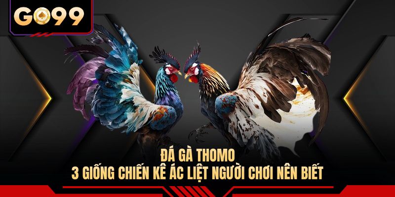 Đá Gà Thomo