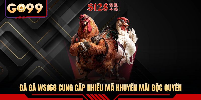 Đá gà WS168 cung cấp nhiều mã khuyến mãi độc quyền