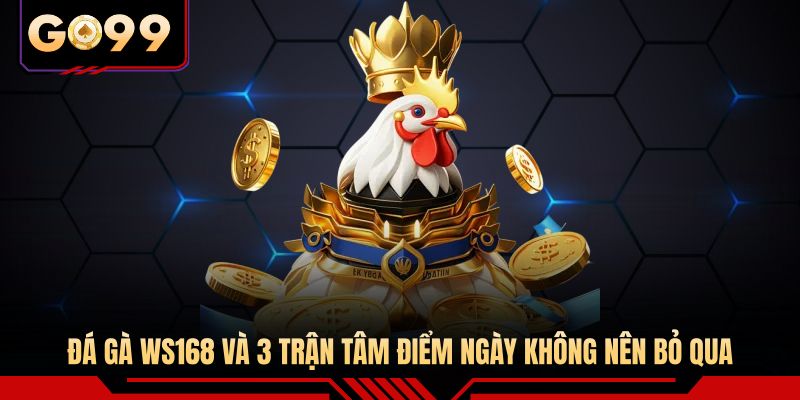 Đá Gà WS168