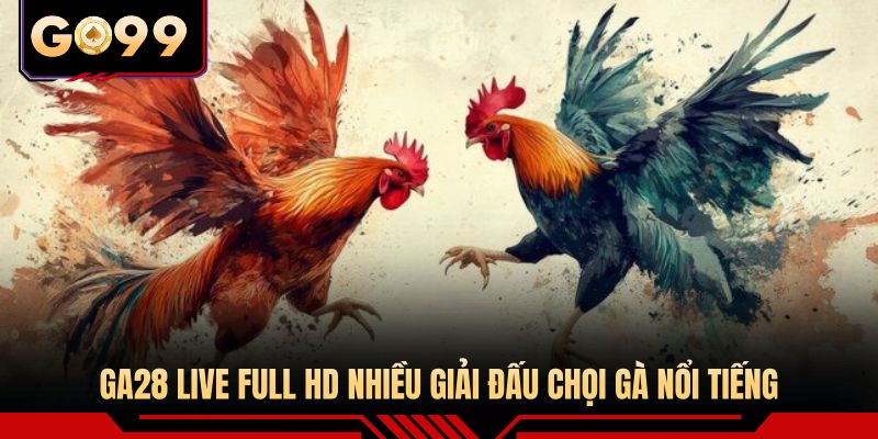 GA28 live full HD nhiều giải đấu chọi gà nổi tiếng 