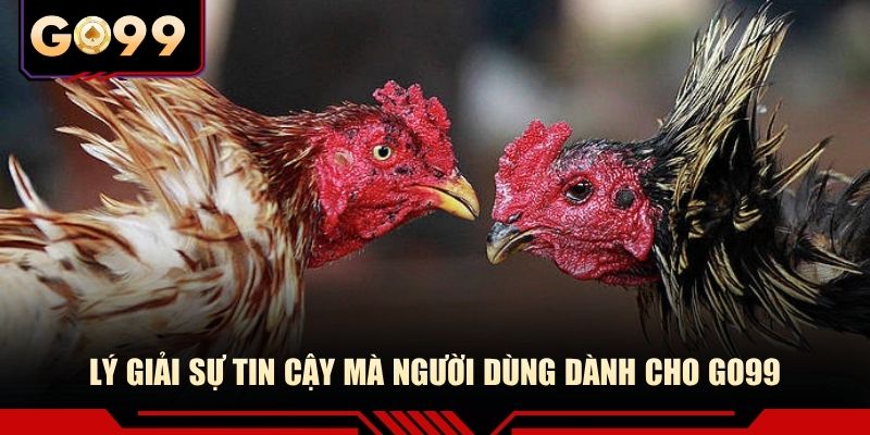 Lý giải sự tin cậy mà người dùng dành cho GO99