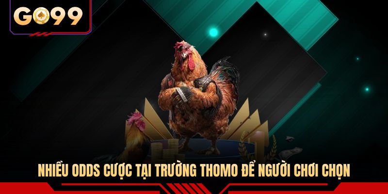 Nhiều odds cược tại trường Thomo để người chơi chọn