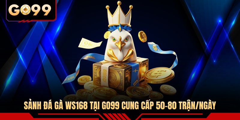 Sảnh đá gà WS168 tại GO99 cung cấp 50-80 trận/ngày